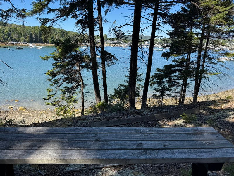 Seawall ~ Oceanfront Parcel with Luxury Small Home