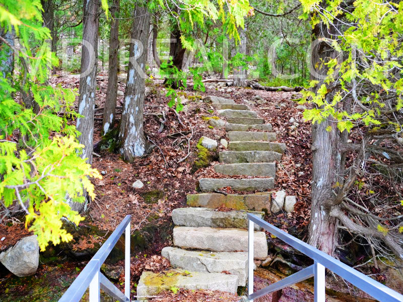 Acadia Lodge