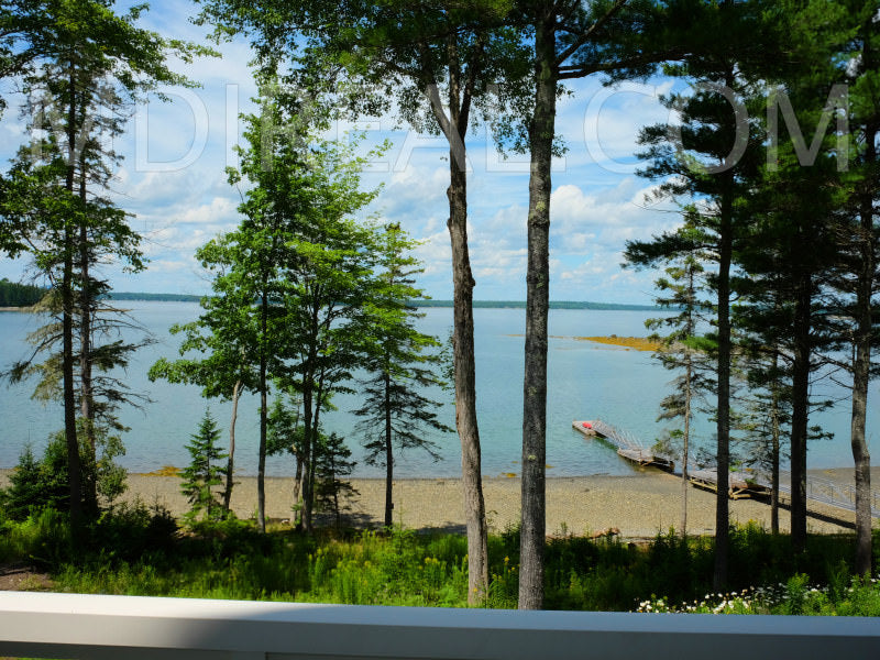 Eden Cove