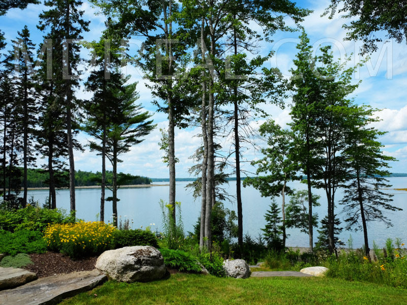 Eden Cove