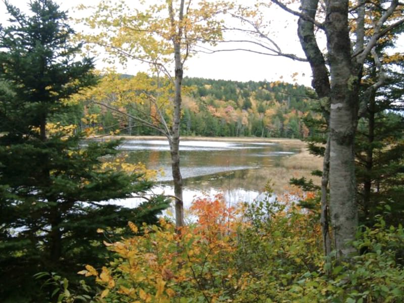 Hodgdon Pond Farm ~ Cottage 1