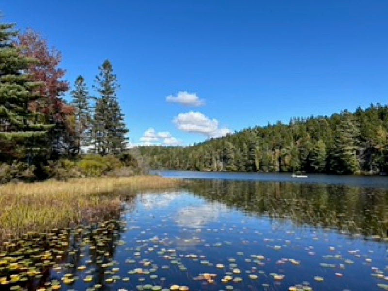 Hodgdon Pond Farm ~ Cottage 1