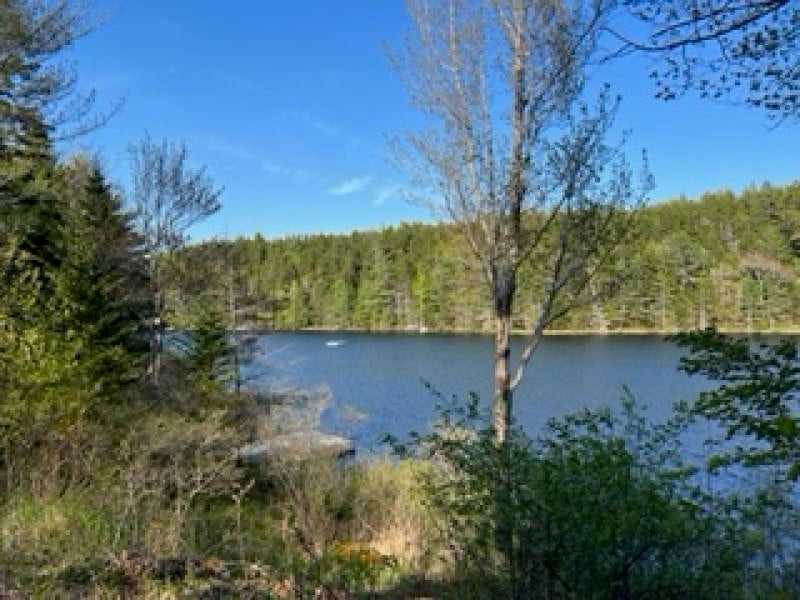 Hodgdon Pond Farm ~ Cottage 1