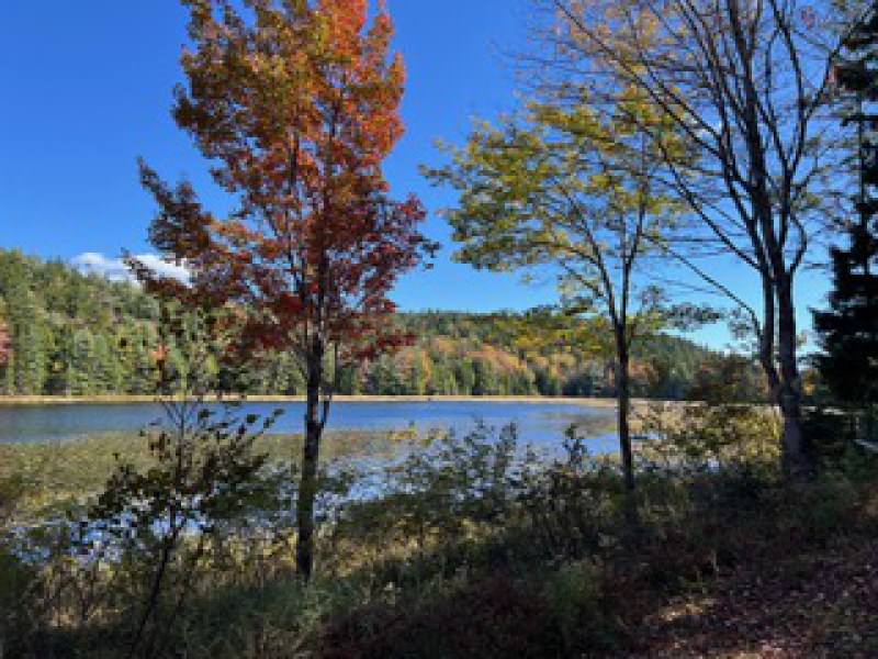 Hodgdon Pond Farm ~ Cottage 1