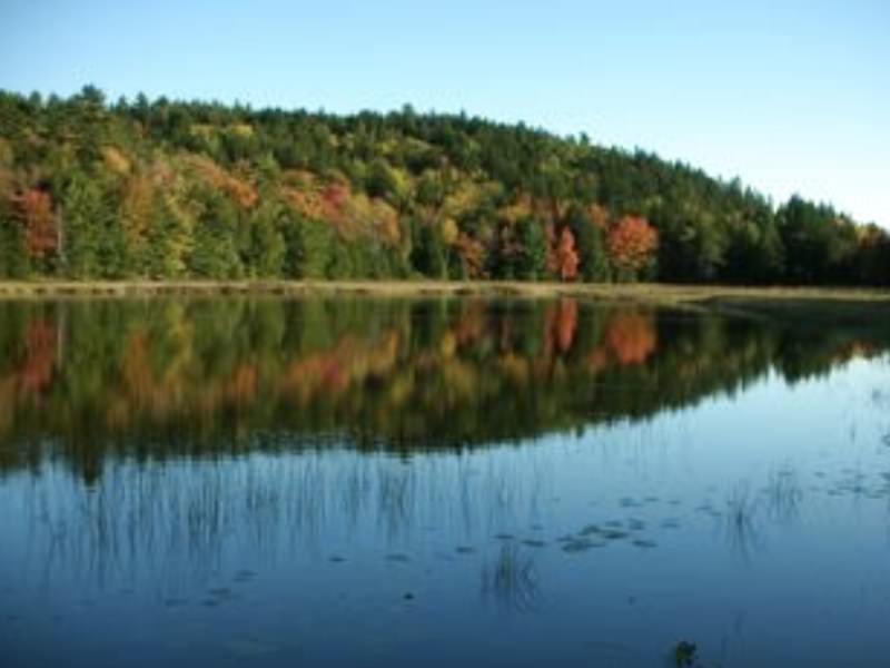Hodgdon Pond Farm ~ Cottage 1