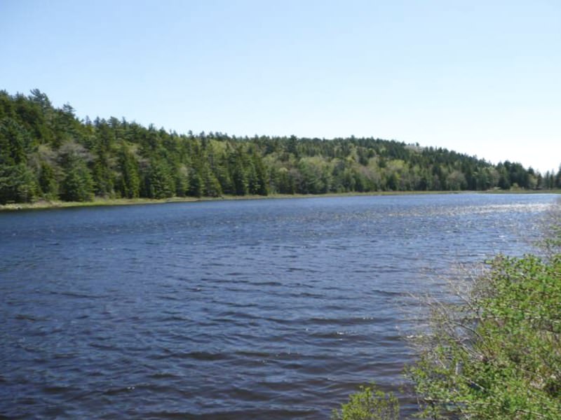Hodgdon Pond Farm ~ Cottage 1
