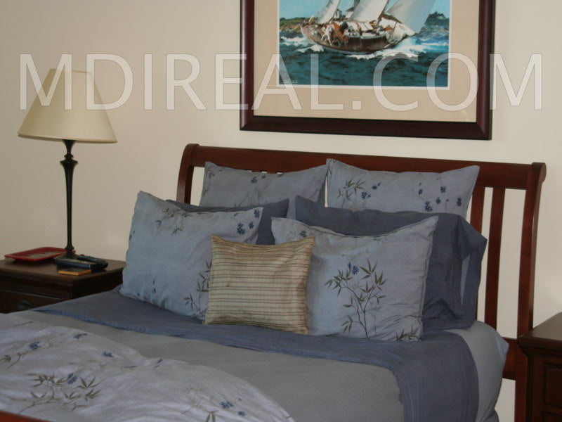 Sand Dollar Cottage