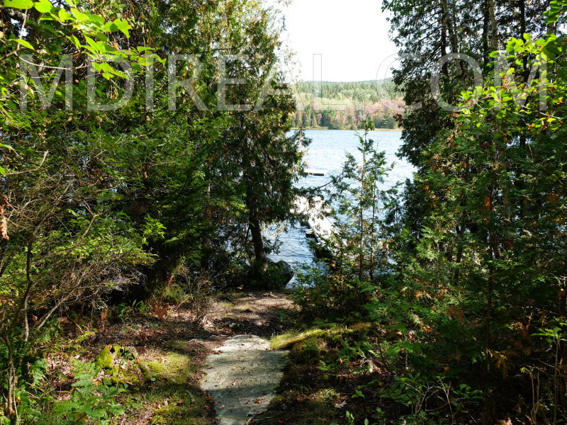 Seal Cove Pond's Vince Cottage