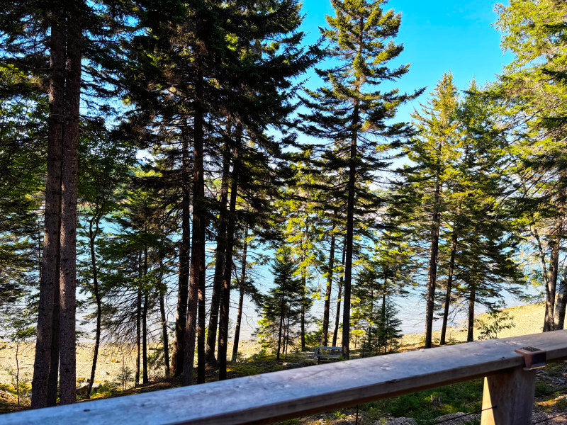 Seawall ~ Oceanfront Parcel with Luxury Small Home