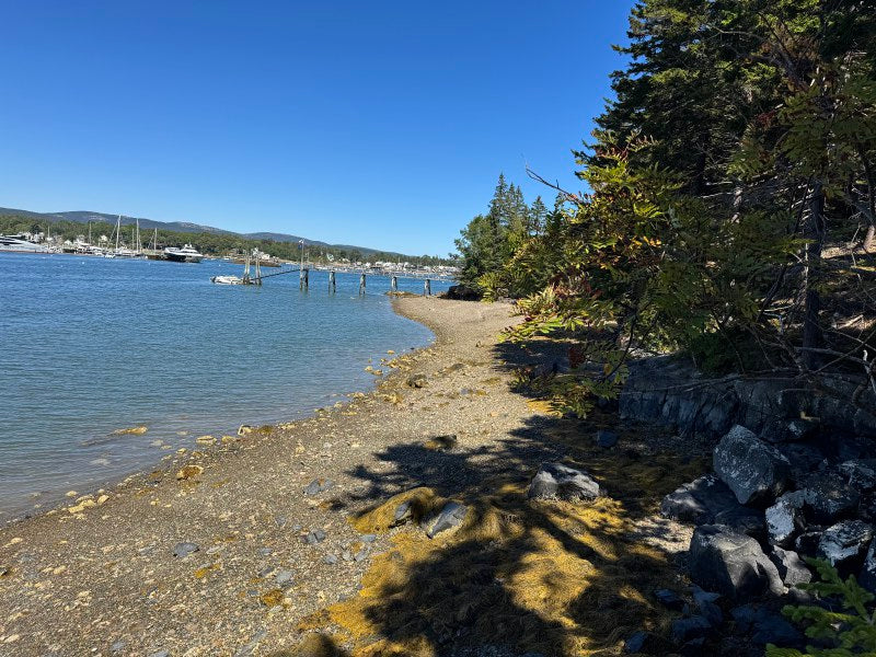 Seawall ~ Oceanfront Parcel with Luxury Small Home