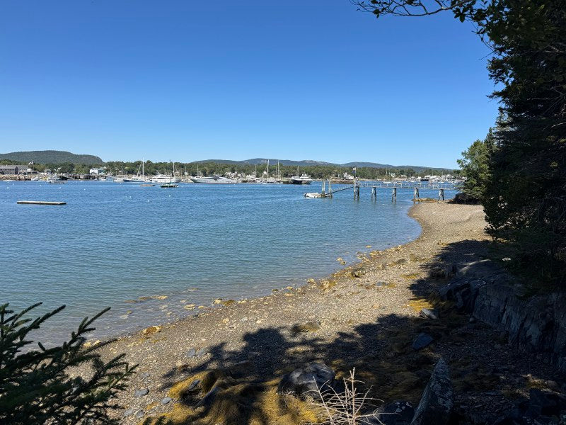 Seawall ~ Oceanfront Parcel with Luxury Small Home