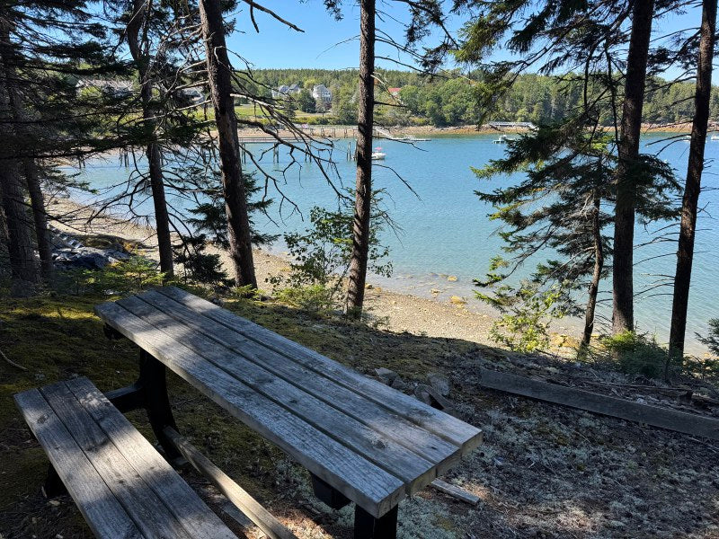 Seawall ~ Oceanfront Parcel with Luxury Small Home