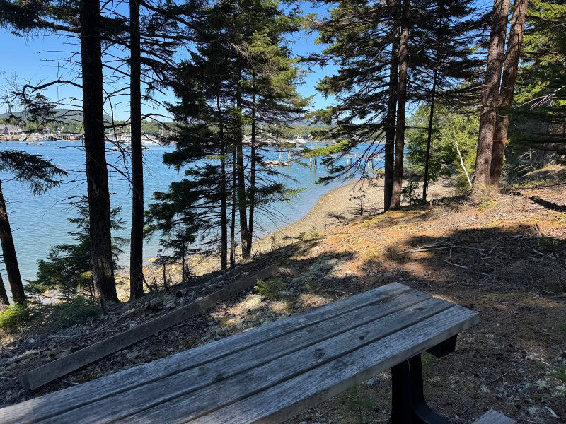 Seawall ~ Oceanfront Parcel with Luxury Small Home