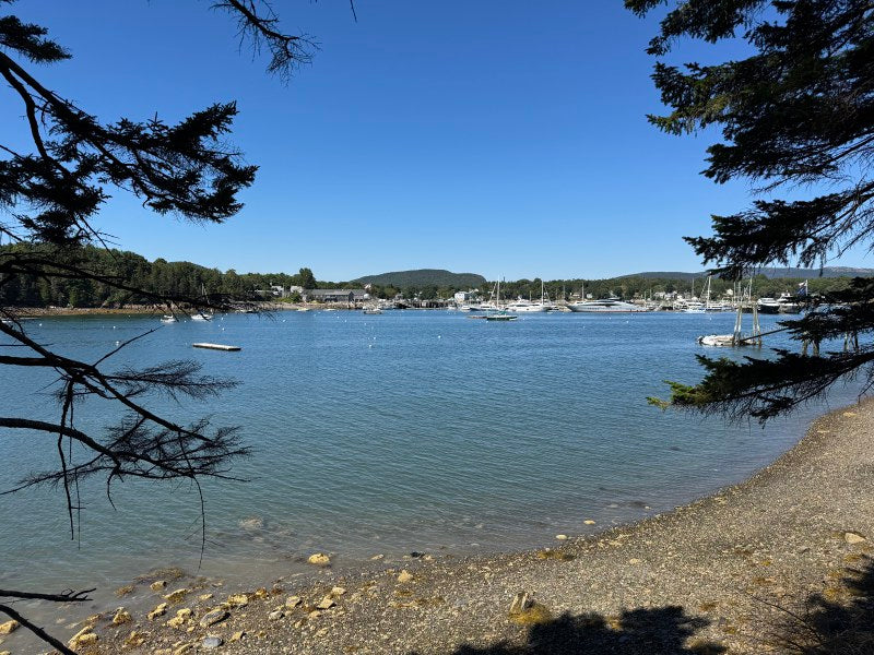 Seawall ~ Oceanfront Parcel with Luxury Small Home