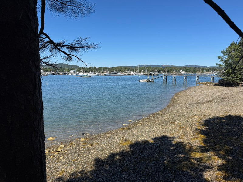 Seawall ~ Oceanfront Parcel with Luxury Small Home
