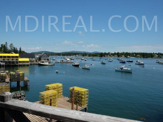 Centennial Homestead and Lighthouse