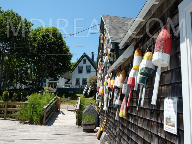 Centennial Homestead and Lighthouse