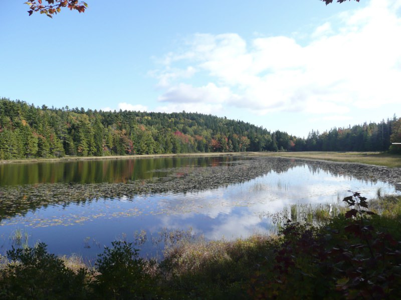 Hodgdon Pond Farm ~ Cottage 1