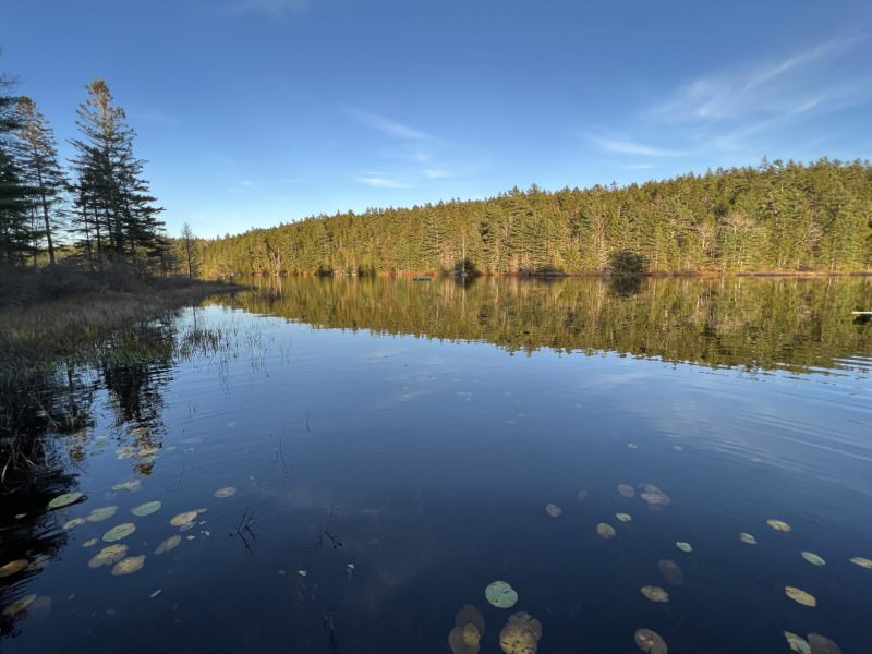 Hodgdon Pond Farm ~ Cottage 1