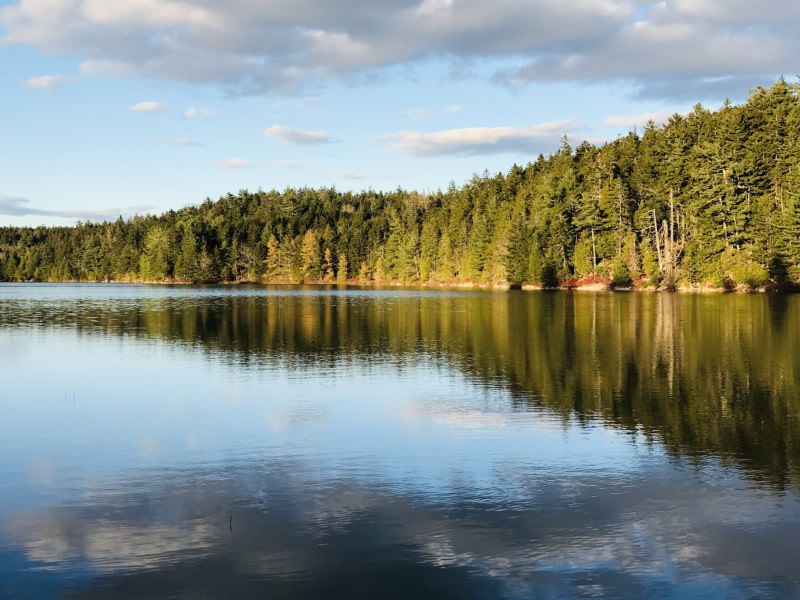 Hodgdon Pond Farm ~ Cottage 2