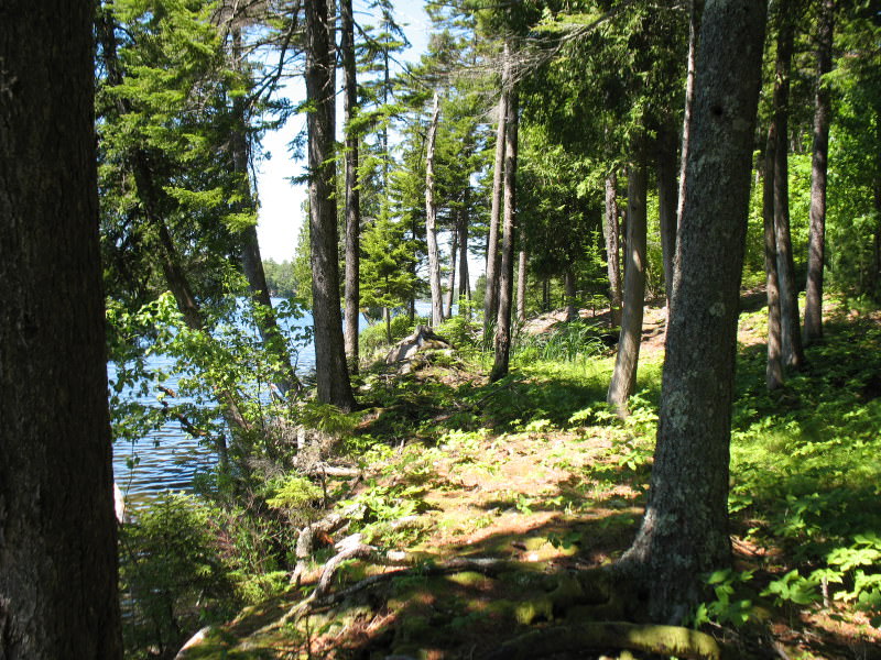 Luxury Long Pond Waterfront 5.04 Acre Land Parcel, Somesville, Mount Desert.