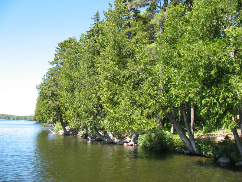 Luxury Long Pond Waterfront 5.04 Acre Land Parcel, Somesville, Mount Desert.
