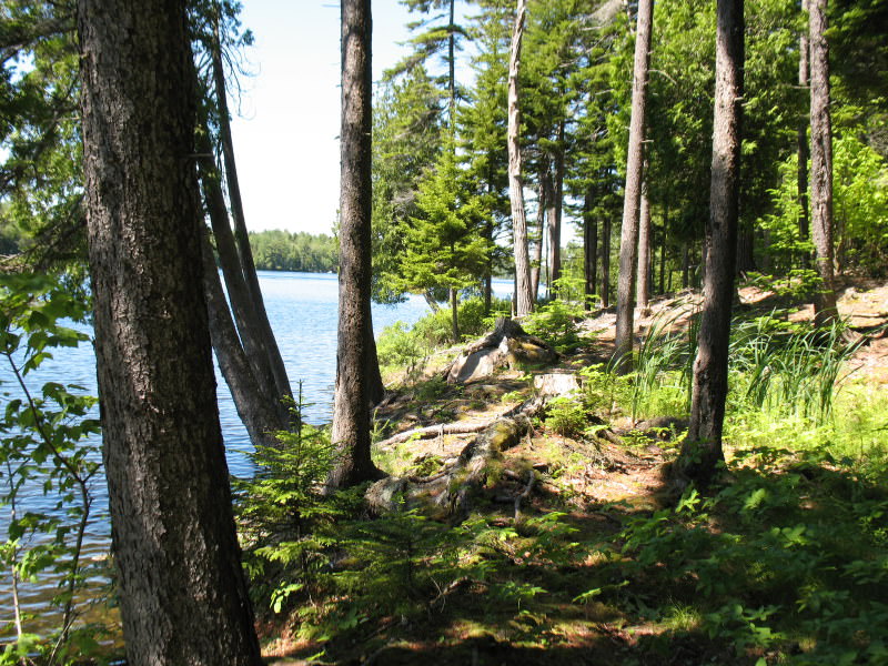 Luxury Long Pond Waterfront 5.04 Acre Land Parcel, Somesville, Mount Desert.