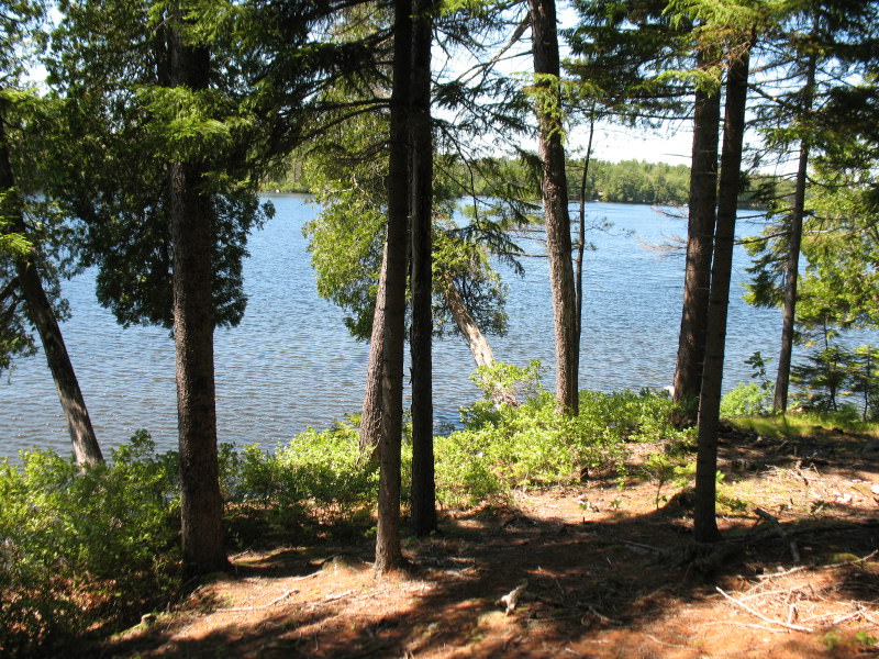 Luxury Long Pond Waterfront 5.04 Acre Land Parcel, Somesville, Mount Desert.