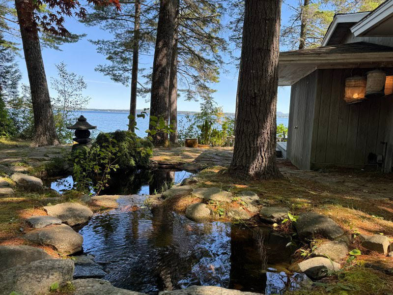 Oasis in Bar Harbor