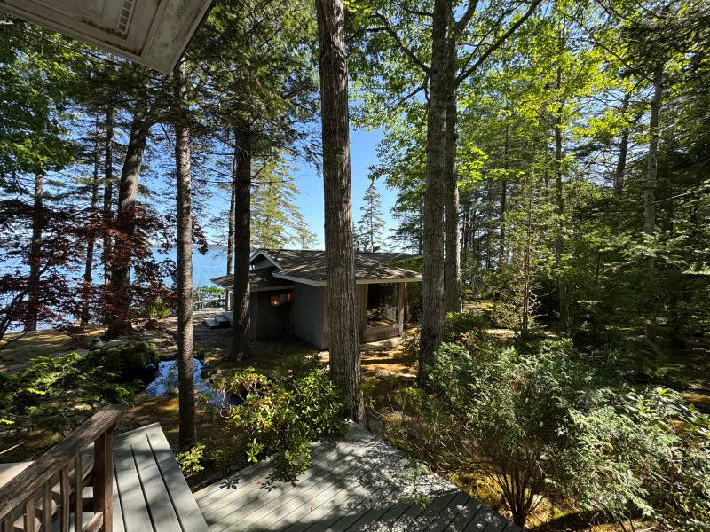 Oasis in Bar Harbor