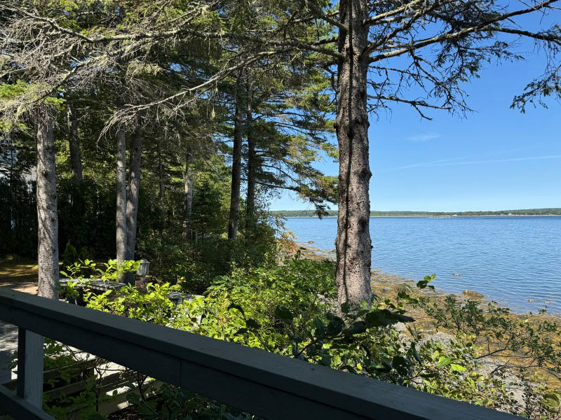 Oasis in Bar Harbor