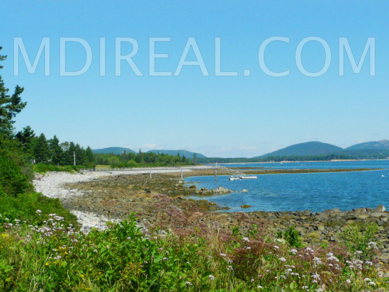 Sand Dollar Cottage