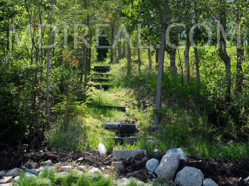 Spruce Cottage