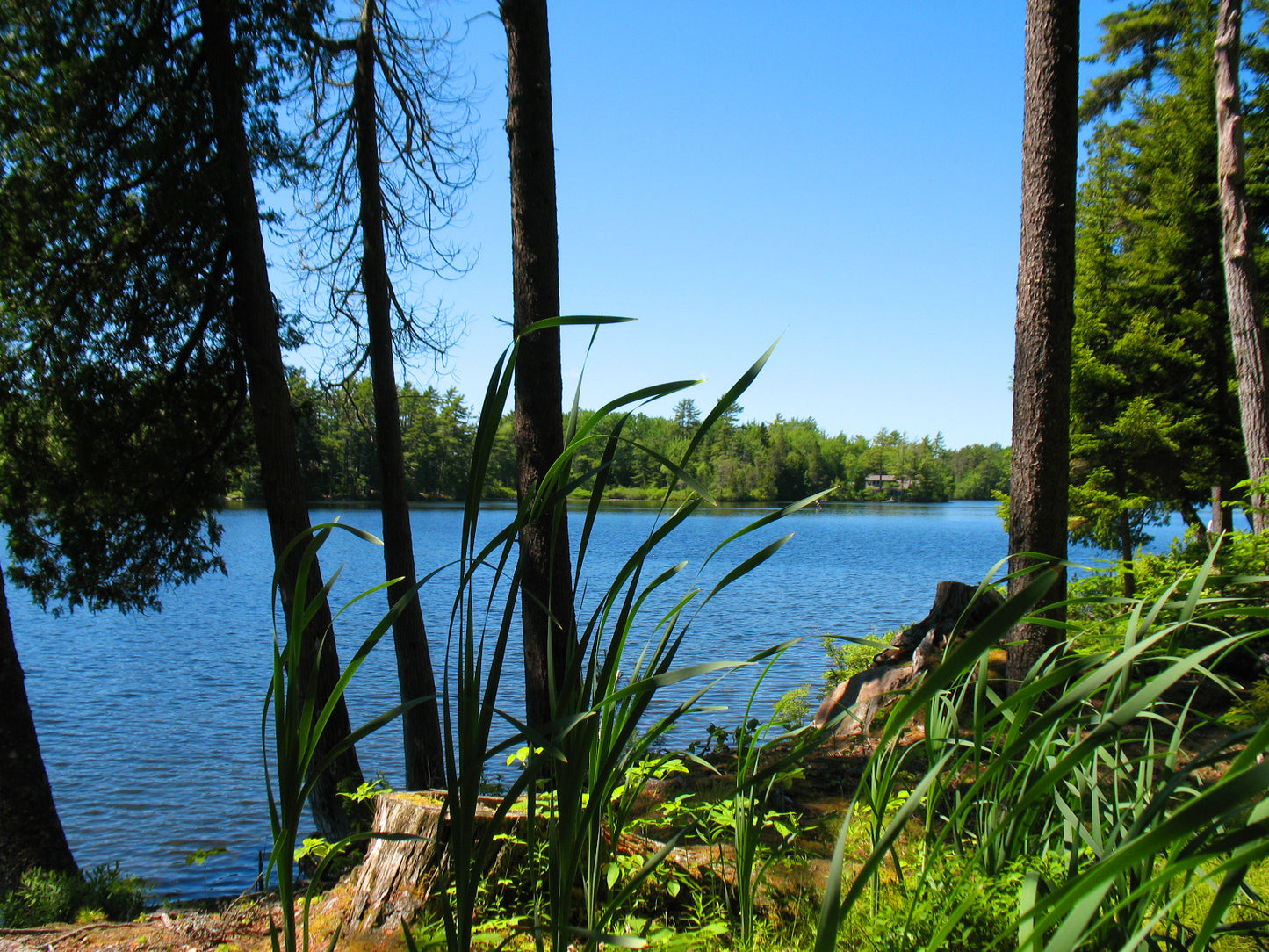 Luxury Long Pond Waterfront 5.04 Acre Land Parcel, Somesville, Mount Desert.